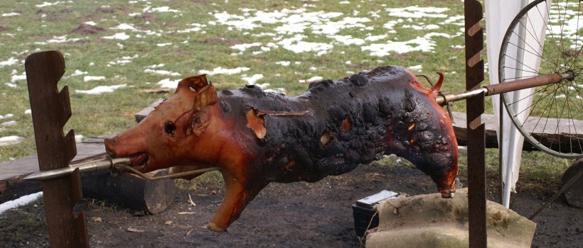 Schweinskur